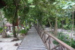 IMG 0052
