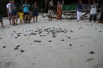 IMG 0077