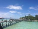 IMG 0224
