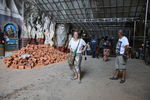 IMG 9829