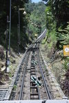 IMG 9916