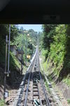 IMG 9917