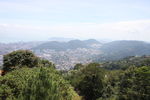 IMG 9933