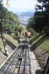 IMG 9946