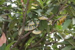 IMG 9957