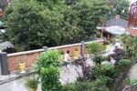 IMG 9959